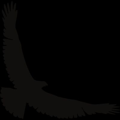 Eagle   Clipart 2 Thumbnail