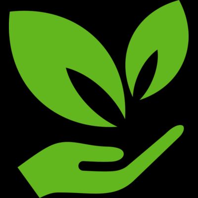 51 Leaves in hands Thumbnail