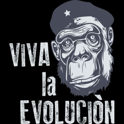 2016 03 14 025 Thumbnail